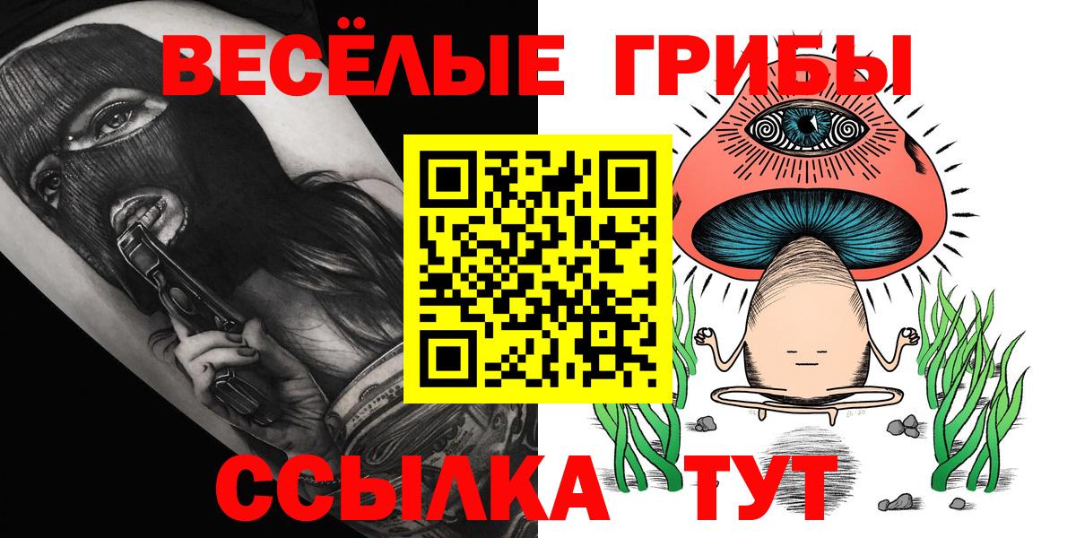 Псилоцибиновые грибы GOLDEN TEACHER  Вход с VPN  как найти закладки  Коркино 